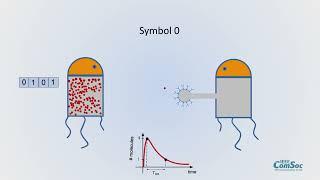 Diffusive MIMO Molecular Communications: Channel Estimation, Equalization, and Detection