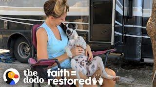Couple Meets A Beach Dog In Mexico Who Changes Their Life | The Dodo Faith = Restored