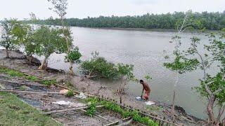 রাতে নদীর ওপার থেকে ওর  আওয়াজ ভেসে আসে| Sundarban Tiger Attack | Sundarbans @somnathshil6406