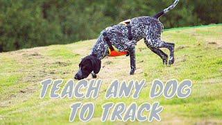 Train Any Dog to Track Using This System | Grassroots K9
