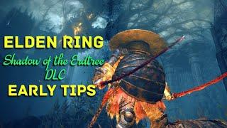 Early Tips for Elden Ring DLC Shadow of the Erdtree