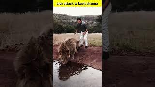 Lion attack to kapil Sharma viral videos ssv entertainments video ssv trending videos|| #shorts