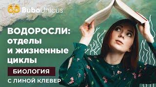 Водоросли: отделы и жизненные циклы | БИОЛОГИЯ ЕГЭ | Лина Клевер