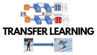 What is Transfer Learning?