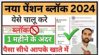 क्या आपका पेंशन लॉक  हैं/ Pension unblock kaise kare / up pension online 2024