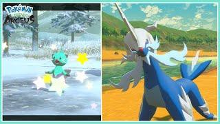 [Live] Shiny Dewott + Shiny Hisuian Samurott Evolution Massive Mass Outbreak Method [PLA]