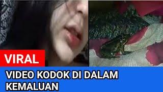 Video viral katak