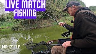 Live Match Fishing Mill Farm Lakes Great Ellingham Norfolk, #matchfishinguk #fjukabait