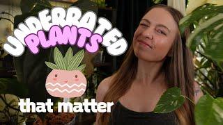 Underrated plants that matter!