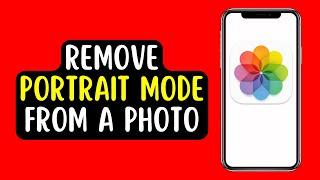 How to Remove Portrait Mode from a Photo (2022)