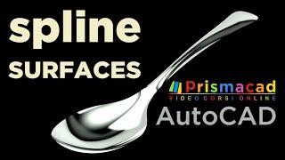 How to make a Spoon with the Spline and the Surfaces of AutoCAD