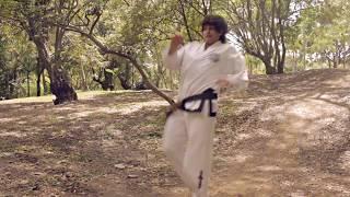 Taekwon Do ITF Colombia warrior / Promo 2014