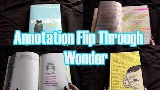 Book Annotations Flip Through // Wonder by  RJ Palacio