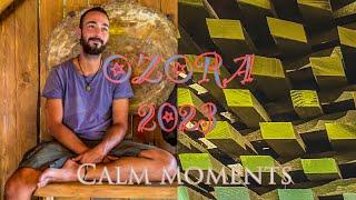 OZORA FESTIVAL 2023