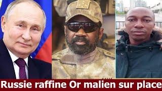 Pourquoi la Russie aide le Mali à révolutionner son économie ?