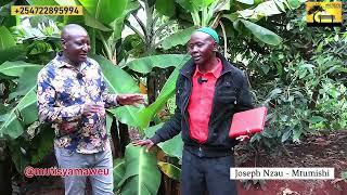 A pastor who has transformed Ukambani dry village  with farming