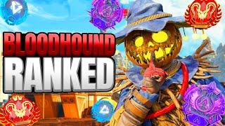 High Level Bloodhound Ranked Gameplay - Apex Legends (No Commentary)