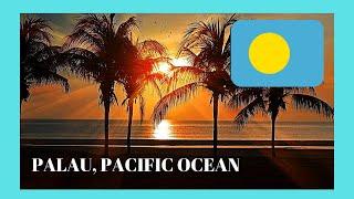 PALAU: City of KOROR, what to see!  (Pacific Ocean) #palau #tour