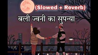 बली जवानी का सुपनिया (Slowed + Reverb + Lofi) || Garhwali Old Best Song || Pahadi Lofi