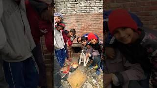 आज हमें नया surprise dogका￼￼ बच्चा मिल गया#272 #chicks #broodyhen #rabbit #youtubeshorts #pets