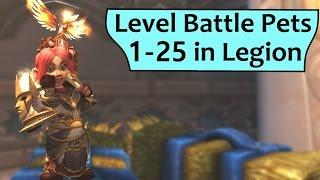 Level Battle Pets 1-25 in Legion Without Battling!