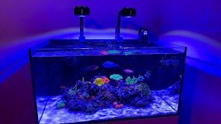 100 watts Full Spectrum WiFi App Control LED Aquarium Light for Coral Reef Tank