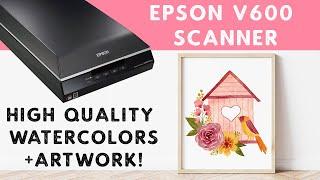 How to Scan Watercolor Illustrations and Artwork - Epson V600 Scanner