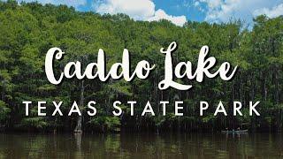 Caddo Lake State Park | Cinematic Travel Video (2021)