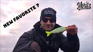 Der beste Swimbait???