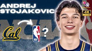 Andrej Stojakovic is a PROSPECT ON THE RISE!!  Future NBA Player?  Cal State Highlights 