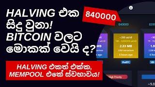 Bitcoin halving has taken place - What's next for Bitcoin ? - Let's study Mempool data - Sinhala