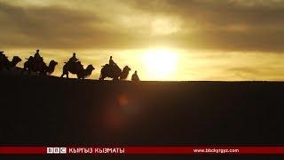 Жаңы Жибек Жолу  - BBC Kyrgyz