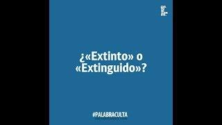 ¿Extinto o Extinguido? ¿Conoces la diferencia?