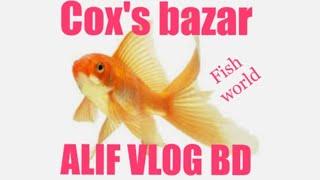 ALIF VLOG BD FISH WORLD COX'S BAZAR