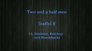 Two and a half men Staffel 8 F 13 -16 ,tonspur , einschlafen