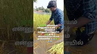 Vivasaya #விவசாயம் #vivasayanadu #agriculture #sapport #villagelife #farming #viralvideo #tamil