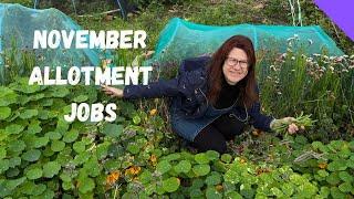 November Allotment Jobs for Beginners UK Revealed!