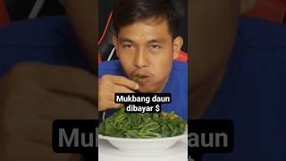 Mukbang daun dibayar $