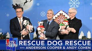 Rescue Dog Rescue with Anderson Cooper & Andy Cohen