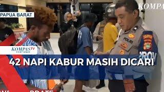 Sebanyak 42 Napi Kabur Belum Tertangkap, Polisi Razia Pelabuhan