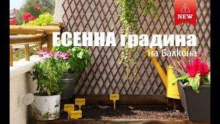 Есенна градина на балкона