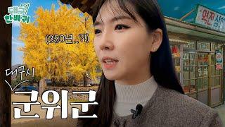 인생샷 남기기 좋은 사진 명소! 힐링 스팟 '군위군' | 대구한바퀴 EP.12