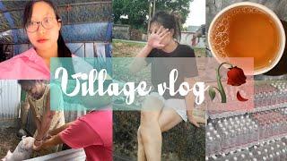 Ama Ni Wok Doro Englang Mani ||Village vlog ||@missbubar4131