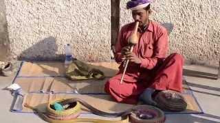 Snake Charmer, India [1080p]