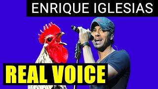 Cuando Enrique Iglesias cantó como un gallo