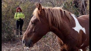 Крым. Каменный хаос у Южной Демерджи