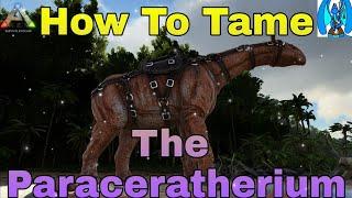 Ark Survival Evolved How To Tame The Paraceratherium