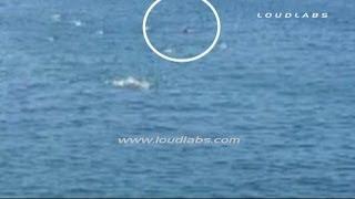Great White Shark Attack "CAUGHT on CAMERA" / Manhattan Beach Pier   RAW FOOTAGE