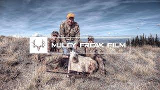 Once in a lifetime Utah Mountain Goat | "Gramps"