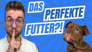 Das perfekte Hundefutter: So findest du das Beste für deinen Hund️